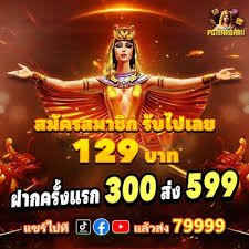 555ww com